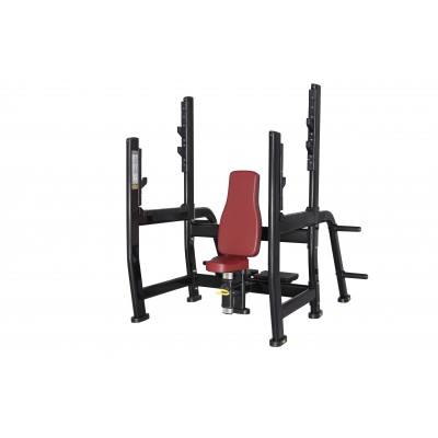 Olympic weihgt vertical bench